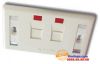 mat-na-2-port-faceplate-amp - ảnh nhỏ  1