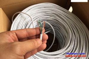 Cable Cat5 AMP LX - 0238