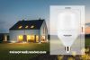 bong-den-led-bulb-sunhouse-spec-she-bulb-40w-s - ảnh nhỏ 5