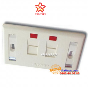 Mặt nạ 2-port Faceplate AMP